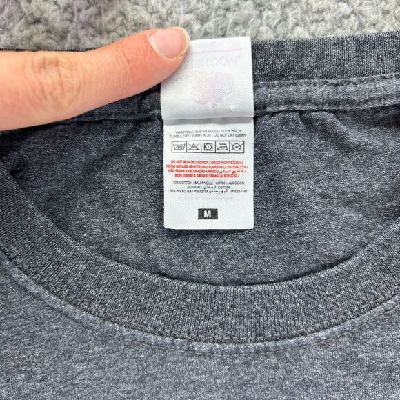 Fruit of the Loom Mens Gray Cotton Mythical Phoenix Rising Firebird Shirt Size M - Picture 4 of 8